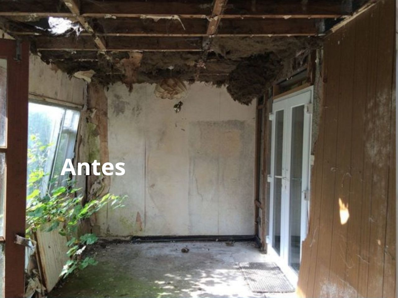 before.jpg